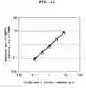 Fig. 13 - Novel mixtures for assaying nucleic acid, novel method of assaying nucleic acid with the use of the same and nucleic acid probe to be used therefor