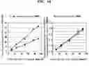Fig. 15 - Novel mixtures for assaying nucleic acid, novel method of assaying nucleic acid with the use of the same and nucleic acid probe to be used therefor