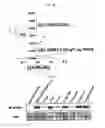 Fig. 06 - Ddr2 protein with activated kinase activity and preparation method thereof
