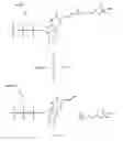 Fig. 03 - Nucleotide analogs