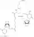 Fig. 05 - Nucleotide analogs