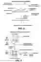 Fig. 03 - Methods for determining nucleotide sequence information