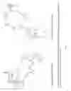 Fig. 05 - Chimeric human growth hormone derived from the placenta and pituitary isoform and processes for obtaining said chimera