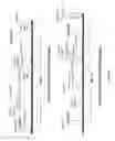 Fig. 06 - Chimeric human growth hormone derived from the placenta and pituitary isoform and processes for obtaining said chimera