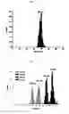 Fig. 09 - BIOMOLECULE INTERACTION USING ATOMIC FORCE MICROSCOPE