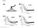 Fig. 17 - BIOMOLECULE INTERACTION USING ATOMIC FORCE MICROSCOPE