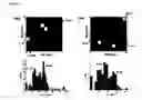 Fig. 18 - BIOMOLECULE INTERACTION USING ATOMIC FORCE MICROSCOPE
