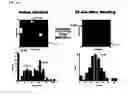 Fig. 19 - BIOMOLECULE INTERACTION USING ATOMIC FORCE MICROSCOPE