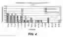 Fig. 06 - HPV CD8+ T-cell epitopes