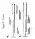 Fig. 18 - Methods for amplification of nucleic acids using spanning primers