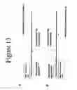 Fig. 19 - Methods for amplification of nucleic acids using spanning primers
