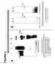 Fig. 19 - Cell-free protein expression systems and methods of use thereof