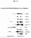 Fig. 20 - Molecular profiling of cancer