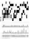 Fig. 23 - Molecular profiling of cancer