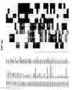 Fig. 24 - Molecular profiling of cancer