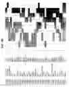 Fig. 26 - Molecular profiling of cancer