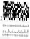 Fig. 27 - Molecular profiling of cancer