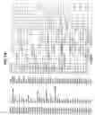 Fig. 29 - Molecular profiling of cancer