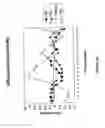 Fig. 08 - siRNA targeting hypoxia-inducible factor 1