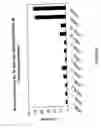 Fig. 18 - siRNA targeting hypoxia-inducible factor 1
