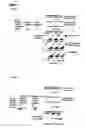 Fig. 02 - Method for assaying nucleic acid fragment and kit thereof