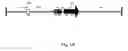 Fig. 03 - Promoter sequences and the use thereof