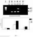 Fig. 07 - Promoter sequences and the use thereof