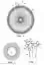 Fig. 02 - Fluid processing device comprising radial channels
