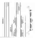 Fig. 06 - Universal-tagged oligonucleotide primers and methods of use