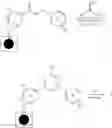 Fig. 12 - FLUORESCENT DYES, METHODS AND USES THEREOF
