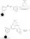 Fig. 13 - FLUORESCENT DYES, METHODS AND USES THEREOF