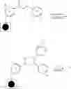 Fig. 15 - FLUORESCENT DYES, METHODS AND USES THEREOF