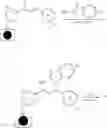 Fig. 17 - FLUORESCENT DYES, METHODS AND USES THEREOF