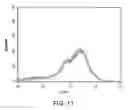 Fig. 12 - Hydrophilic labels for biomolecules