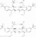 Fig. 14 - Hydrophilic labels for biomolecules