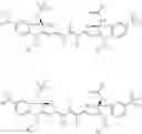 Fig. 16 - Hydrophilic labels for biomolecules