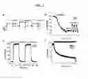 Fig. 03 - Photoreactive regulator of protein function and methods of use thereof