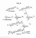 Fig. 10 - Photoreactive regulator of protein function and methods of use thereof