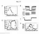 Fig. 13 - Photoreactive regulator of protein function and methods of use thereof