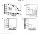 Fig. 18 - Photoreactive regulator of protein function and methods of use thereof