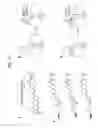 Fig. 19 - Photoreactive regulator of protein function and methods of use thereof