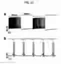 Fig. 22 - Photoreactive regulator of protein function and methods of use thereof