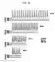 Fig. 28 - Photoreactive regulator of protein function and methods of use thereof