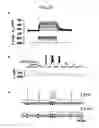 Fig. 29 - Photoreactive regulator of protein function and methods of use thereof