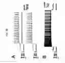 Fig. 30 - Photoreactive regulator of protein function and methods of use thereof