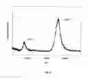 Fig. 03 - METHOD AND APPARATUS FOR MASS SPECTROMETRIC IMMUNOASSAY ANALYSIS OF SPECIFIC BIOLOGICAL FLUID PROTEINS