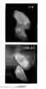 Fig. 07 - Methods for identifying compounds interacting with small membrane-bound gtp-ases