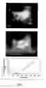 Fig. 08 - Methods for identifying compounds interacting with small membrane-bound gtp-ases