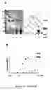 Fig. 06 - Pknb kinase and pstp phosphatase and methods of identifying inhibitory substances