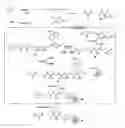 Fig. 01 - Methods for generating analogs of coenzyme A